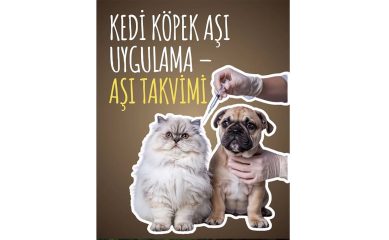 Kedi Köpek Aşı Uygulama – Aşı Takvimi