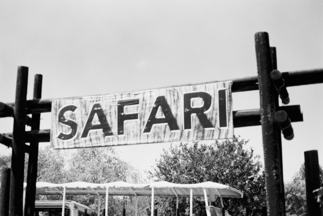 Marmaris At Safari: Eğlenceli ve Adrenalini Yüksek Bir Deneyim!